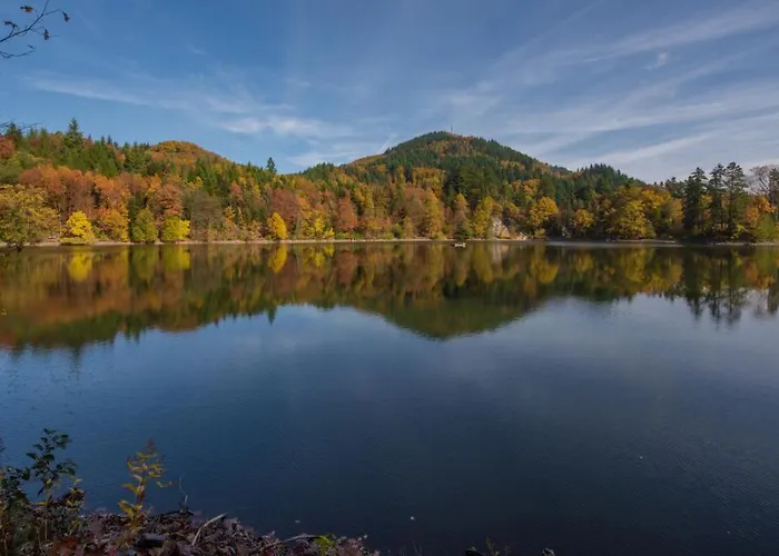 Ferien דירה באד זקינגן