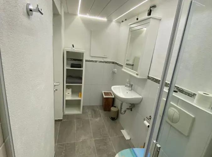 Ferien באד זקינגן